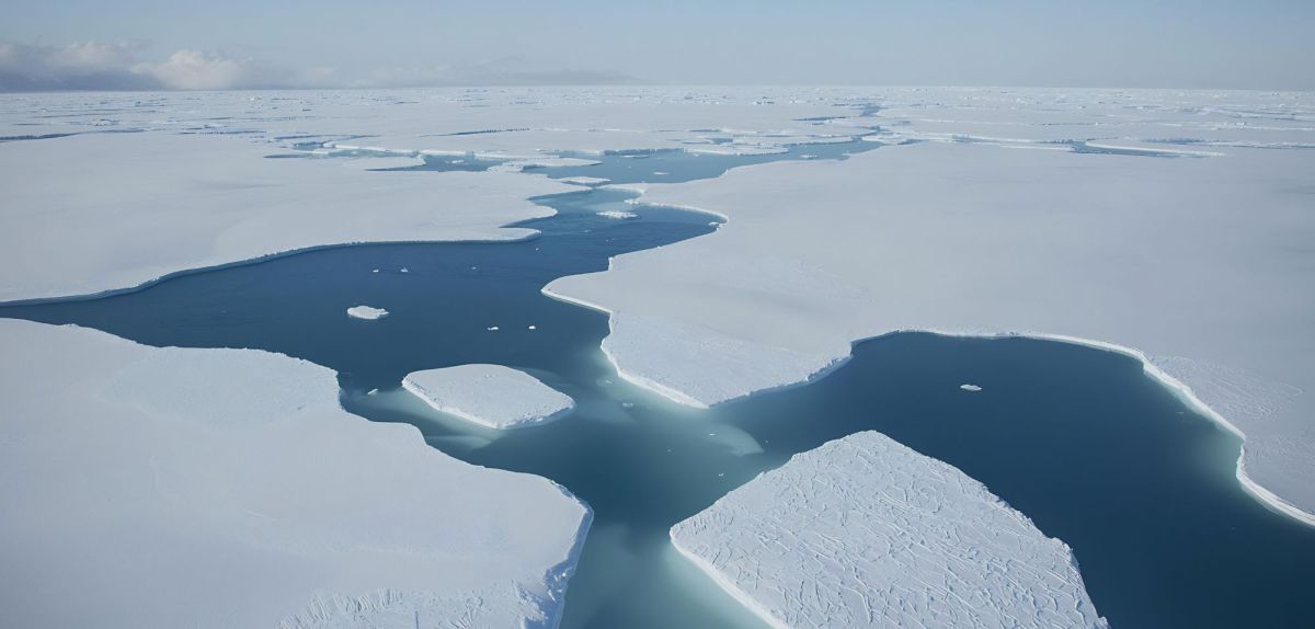 Arktis: Forscher machen wichtige Entdeckung – das war „bislang unbeachtet“