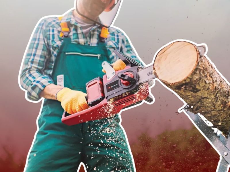 Einhell Professional Akku-Kettensäge GP-LC 36/35