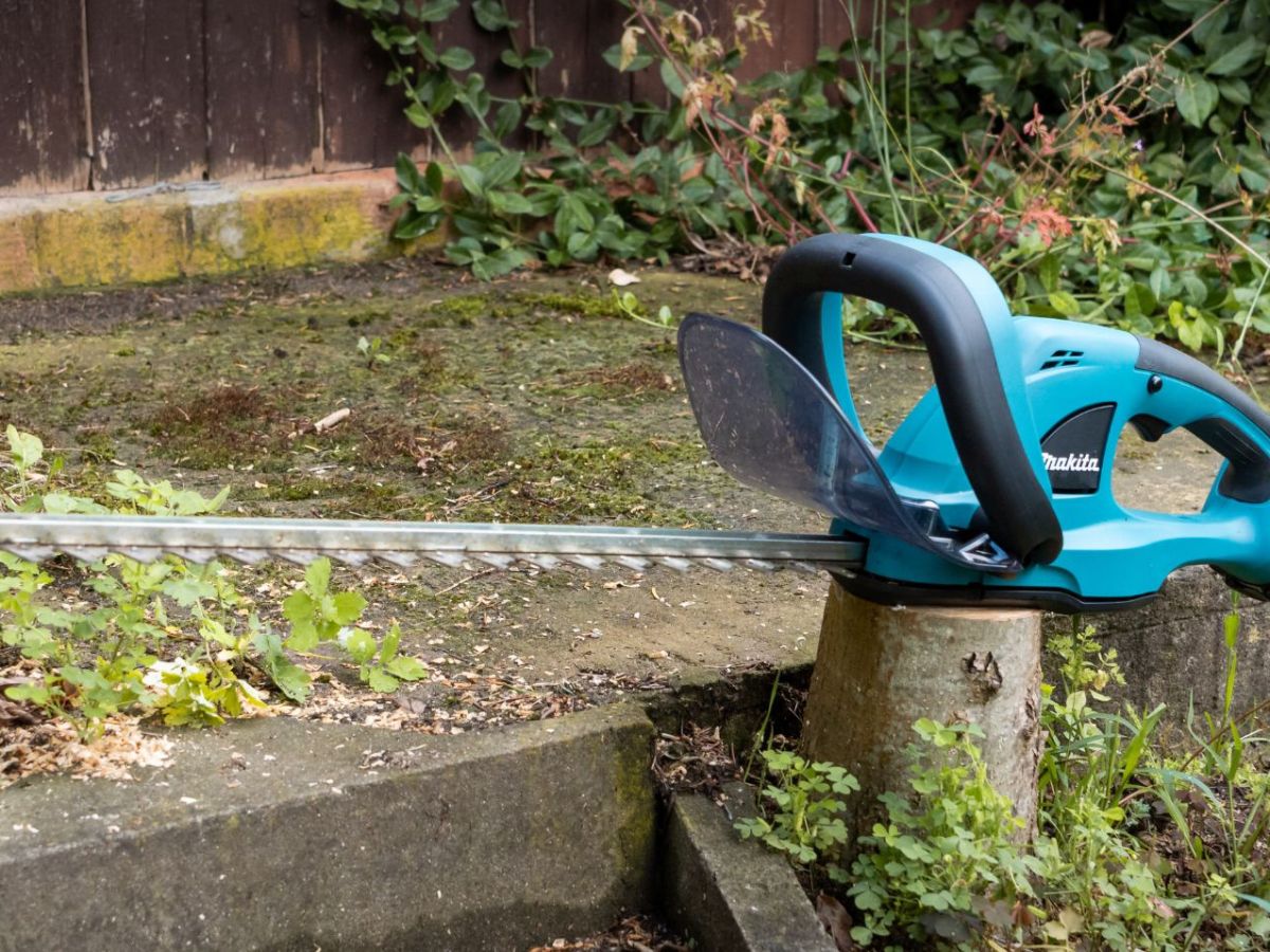 Makita Akku-Heckenschere: Mit diesen Kosten musst du beim Kauf rechnen