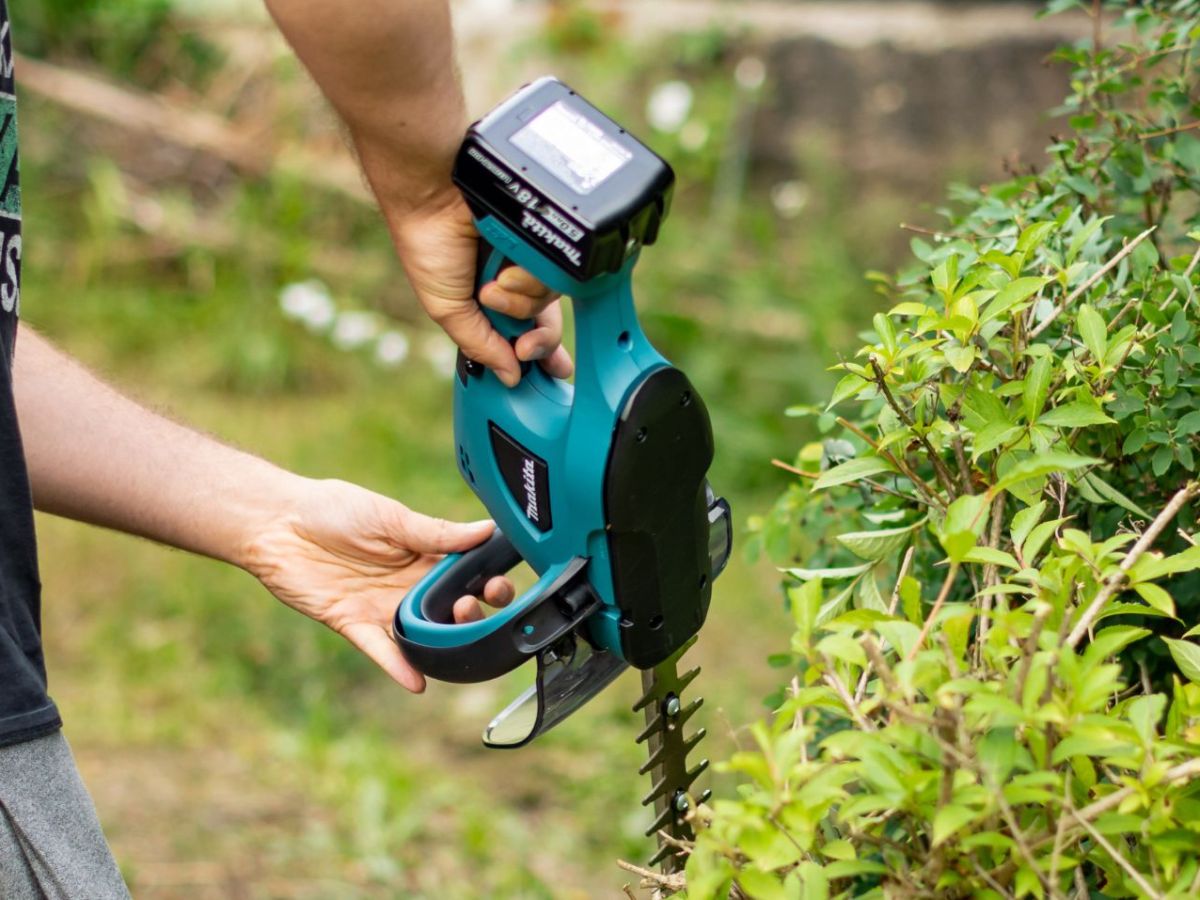 Akku-Heckenschere von Makita ist jetzt deutlich reduziert: Sichere dir 20 % Rabatt auf Amazon