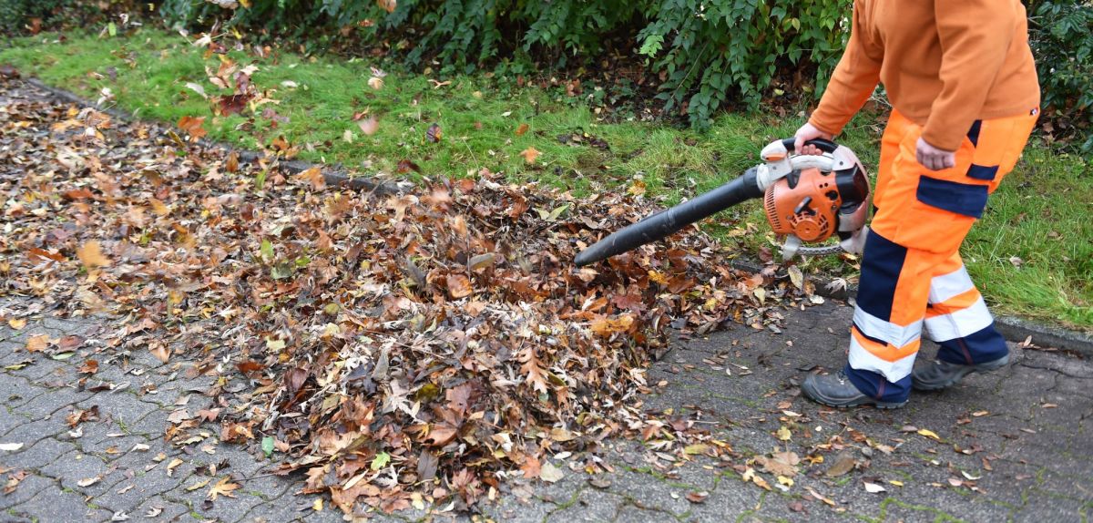 Makita-Laubsauger: Diese Geräte arbeiten besonders gründlich