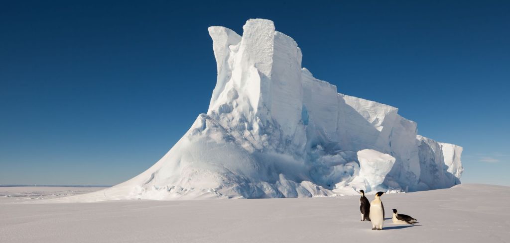 Im Schnee der Antarktis: Ungewöhnliche Funde überraschen Forscher – „Woher kommen sie?“