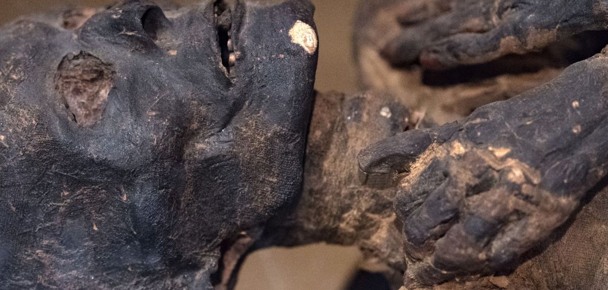 Mumie als archäologischer Fund.
