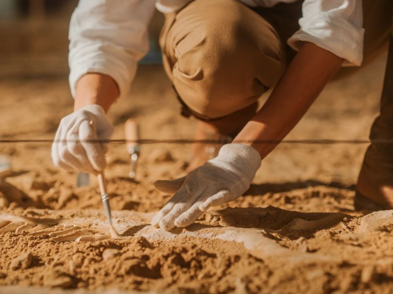 Frau untersucht einen archäologischen Fund.