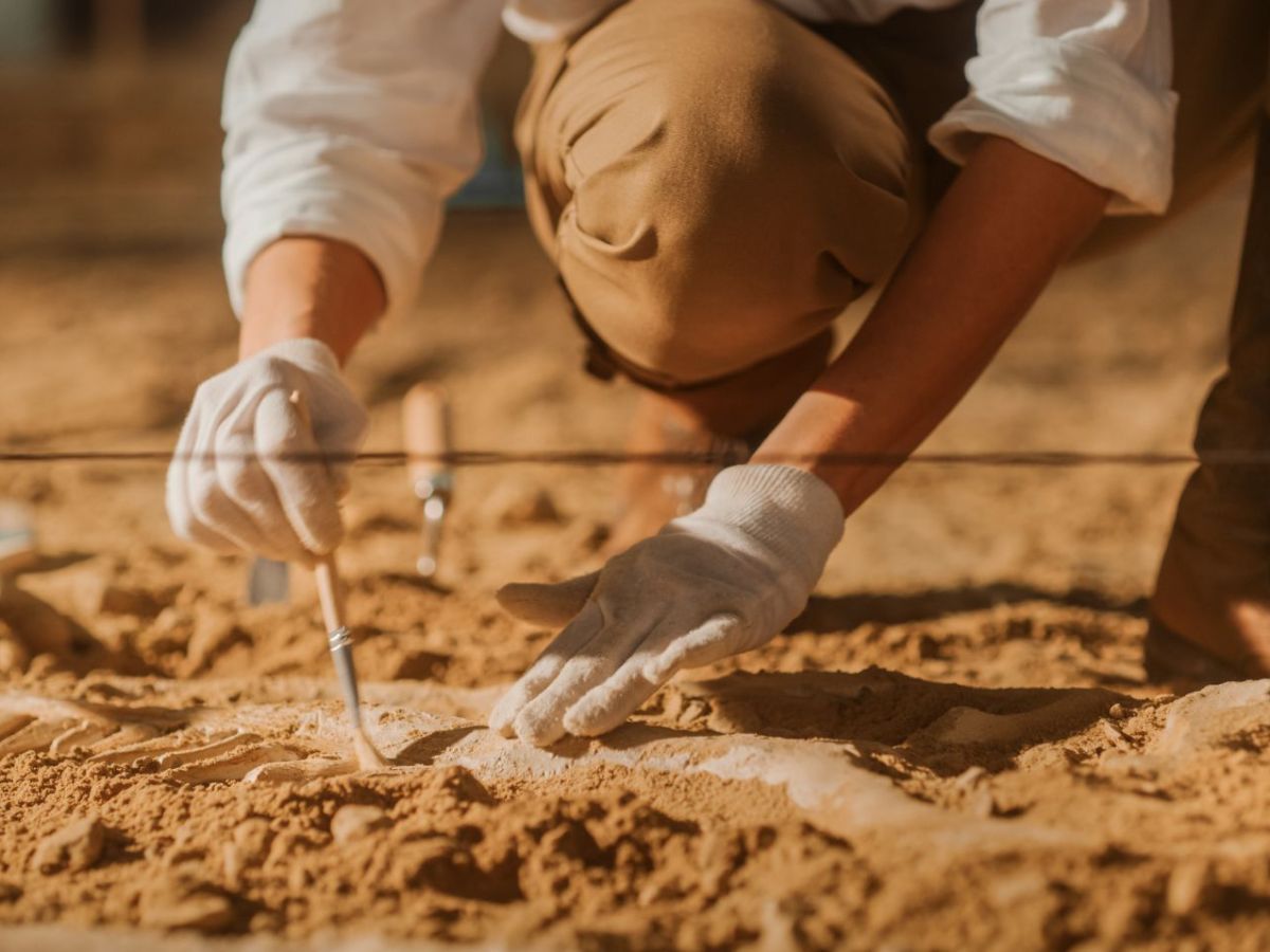 Archäologischer Fund: Eigenartige Abdrücke entdeckt – sie sind die ältesten ihrer Art