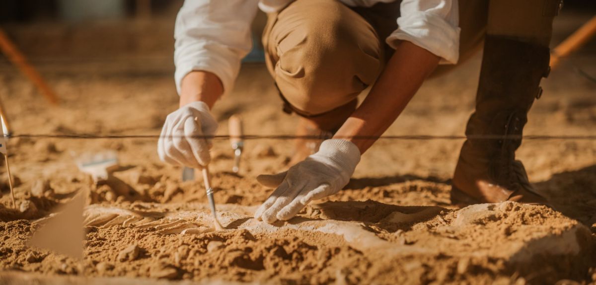 Frau untersucht einen archäologischen Fund.