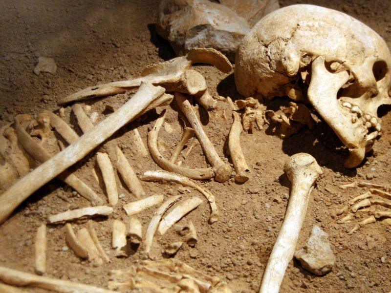 Knochen als archäologischer Fund.