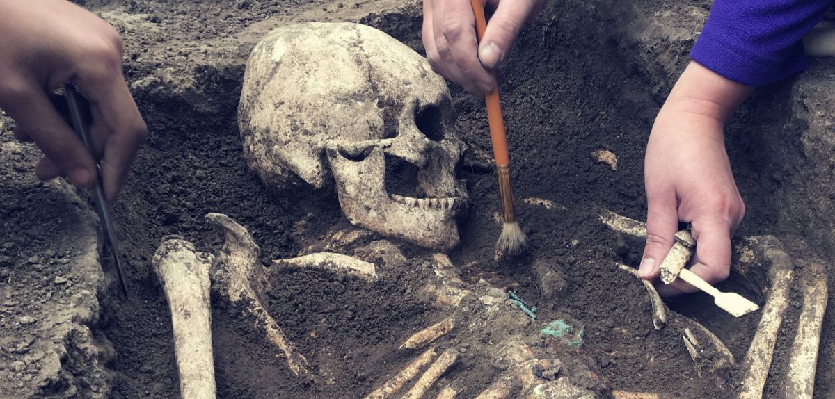 Skelett als archäologischer Fund (Symbolbild)