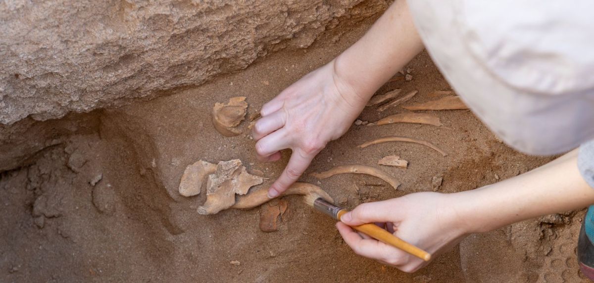 Archäologischer Fund im Iran: Tausende Jahre alte Schädel überraschen Forscher