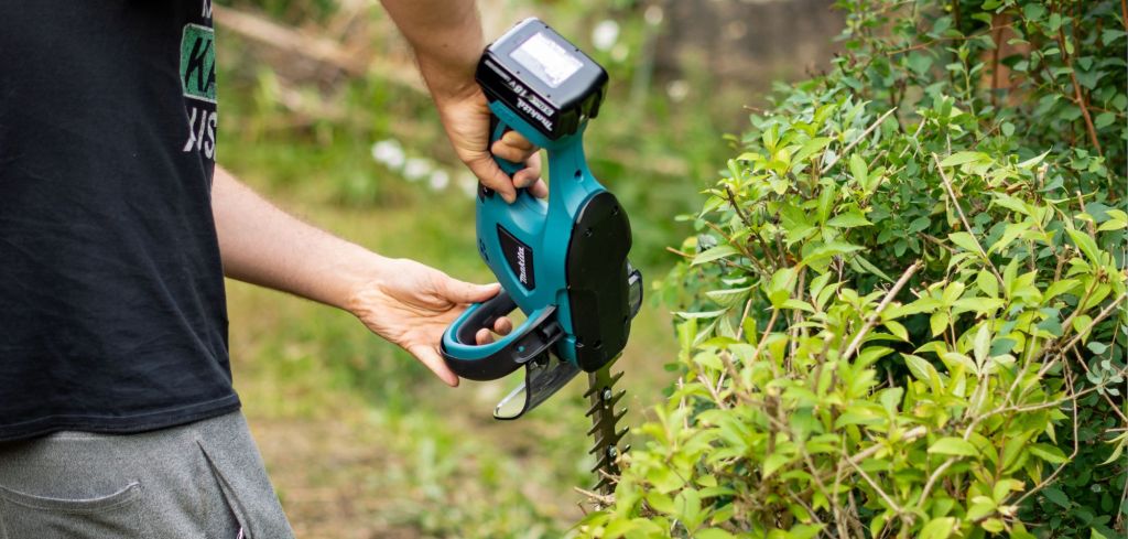 Makita Akku-Heckenschere im Amazon-Deal: Jetzt schon vor dem Prime Day 14 Prozent günstiger