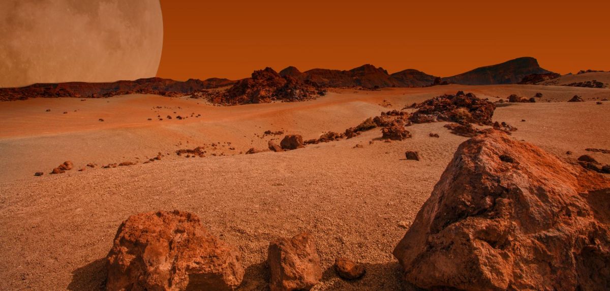 Foto vom Marsboden.