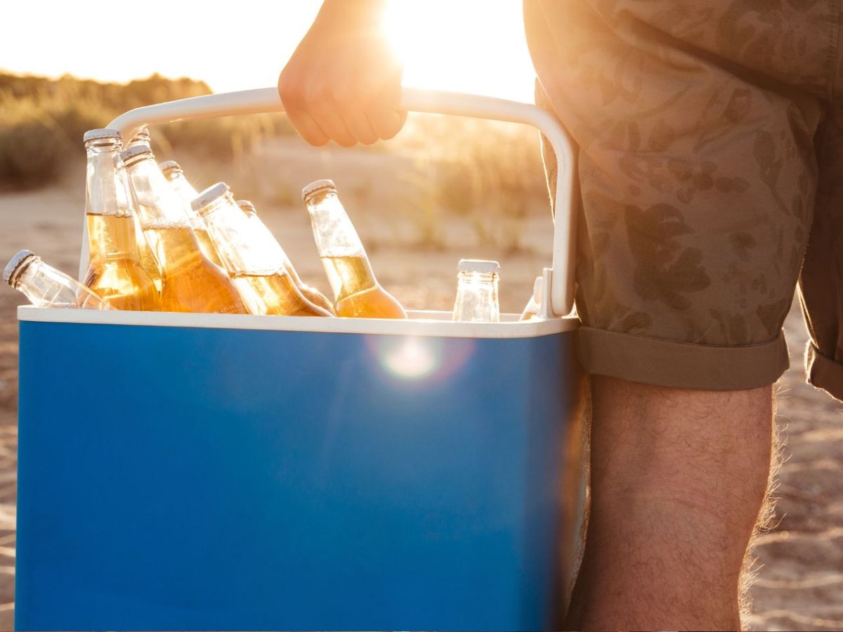 Kühlbox von Ninja schon vor dem Prime Day: Must-have für deinen Roadtrip jetzt zu 22 % Rabatt