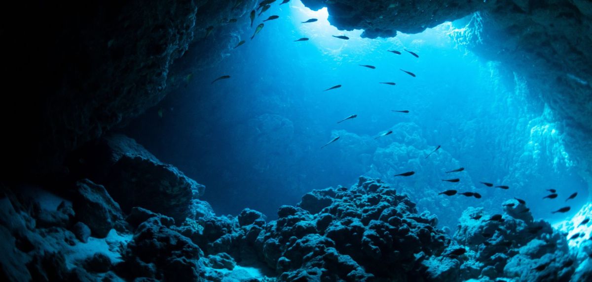 Riffe und Fische im Meer.